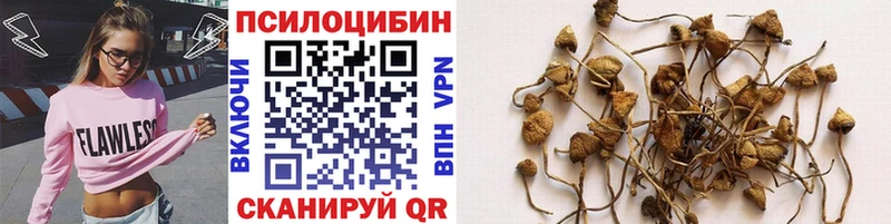 Псилоцибиновые грибы GOLDEN TEACHER  Магнитогорск 